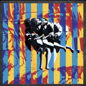 'Use Your Illusion (Super Deluxe)' için resim
