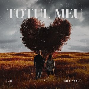 “Totul meu”的封面