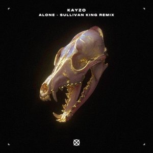 Image for 'Alone (Sullivan King Remix)'