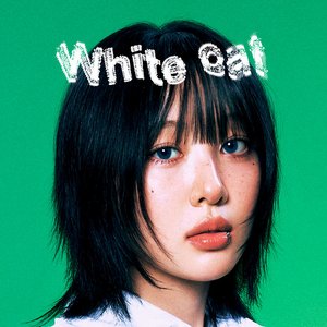 Image for 'White cat - Single'