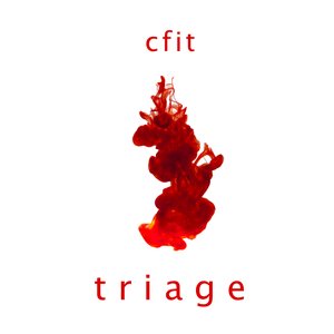 Image for 'Triage'