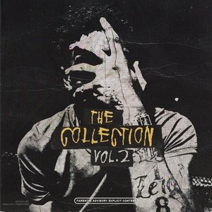 Immagine per 'The Collection Vol. 2'