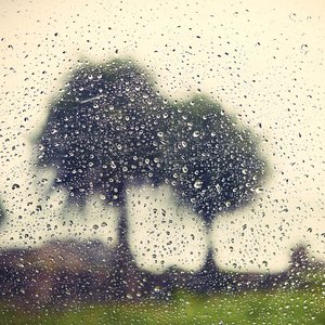 Bild für 'Endless Rain'