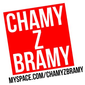 “Chamy z Bramy”的封面