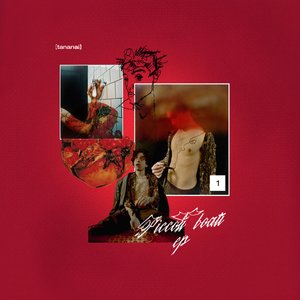 “Piccoli Boati”的封面