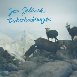 Image for 'Tierbeobachtungen'