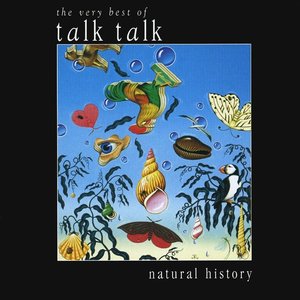 “Natural History: The Very Best of Talk Talk”的封面