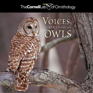 Image for 'Voices Of North American Owls'