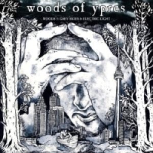 'Woods 5: Grey Skies & Electric Light [PROMO]' için resim