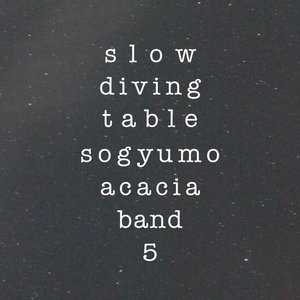 “Slow Diving Table”的封面