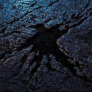 “Drôle d'oiseau”的封面
