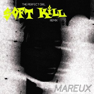 'The Perfect Girl (Soft Kill Remix)'の画像