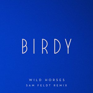 Image pour 'Wild Horses (Sam Feldt Remix)'