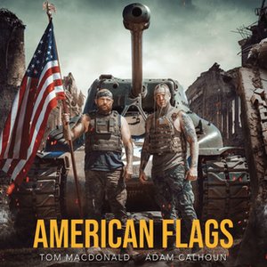Image for 'American Flags'