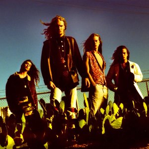 Image pour 'Alice in Chains'