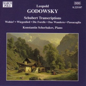 Bild für 'Godowsky, L.: Piano Music, Vol. 6 - Schubert Transcriptions'