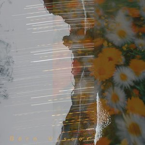 Image pour 'Catching the Wind'