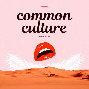 “Common Culture, Vol. VI”的封面