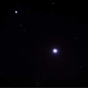 “Sleep Tones”的封面