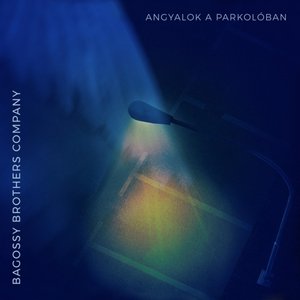 “Angyalok a Parkolóban”的封面