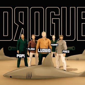 Image for 'drogue'