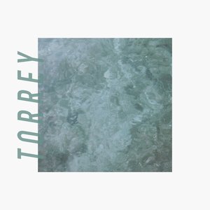 “Torrey”的封面