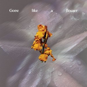 'Gone Like A Flower' için resim