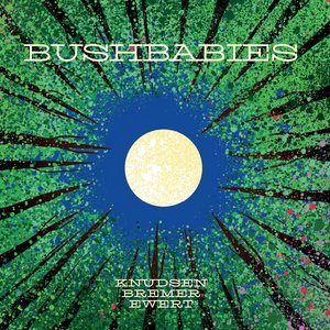 “Bushbabies”的封面
