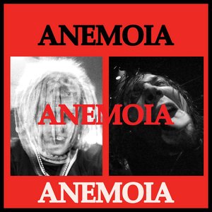 Image for 'Anemoia'