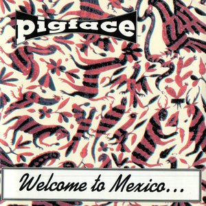 Imagem de 'Welcome To Mexico...Asshole'