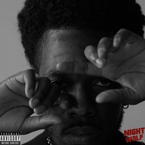 Image for 'Nightwolf'