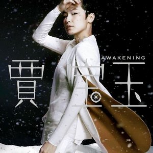 Image for 'Awakening (紀念國語大碟)'