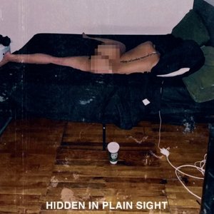 Image for 'Hidden in Plain Sight'