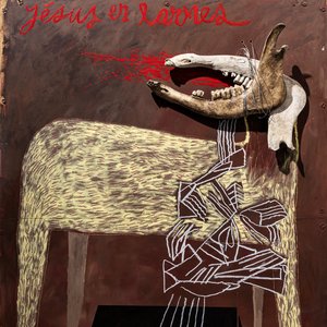 Image for 'Alan Sparhawk with Trampled by Turtles'