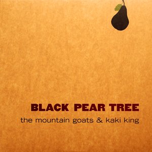 Image for 'Black Pear Tree'