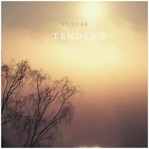 Image for 'Tender'