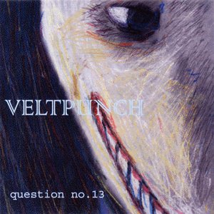 “question no.13”的封面