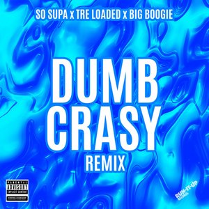 Image for 'Dumb Crasy (Remix)'