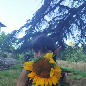 “Le diable dégoûtant”的封面