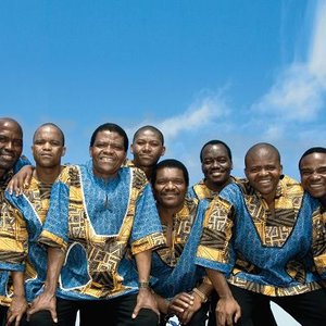 Bild för 'Ladysmith Black Mambazo'