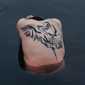 Image pour 'Blue Heron'