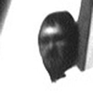'Baltazar Kobera'の画像