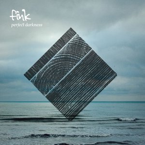 “Perfect Darkness (Bonus Video Version)”的封面