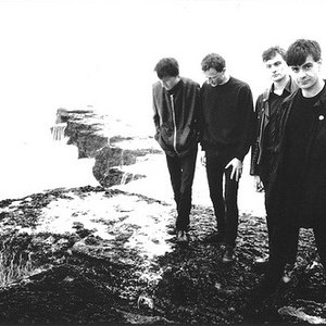 Immagine per 'The Wedding Present'