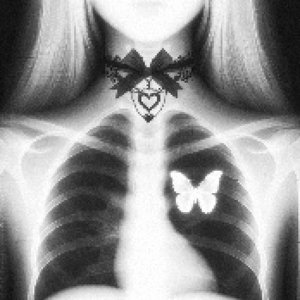 “NIGHTFXRCE”的封面