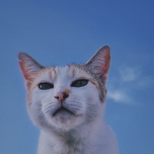 rkshn080