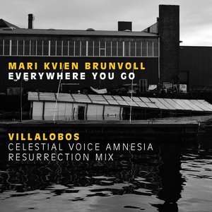 Изображение для 'Everywhere You Go (Villalobos Celestial Voice Amnesia Resurrection Mix)'
