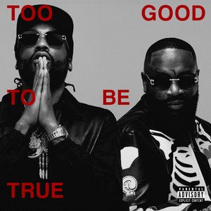 Image for 'Too Good To Be True'