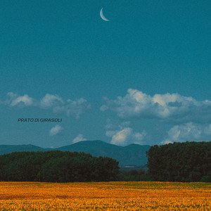 Image for 'Prato Di Girasoli'