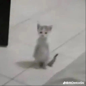 nini69420